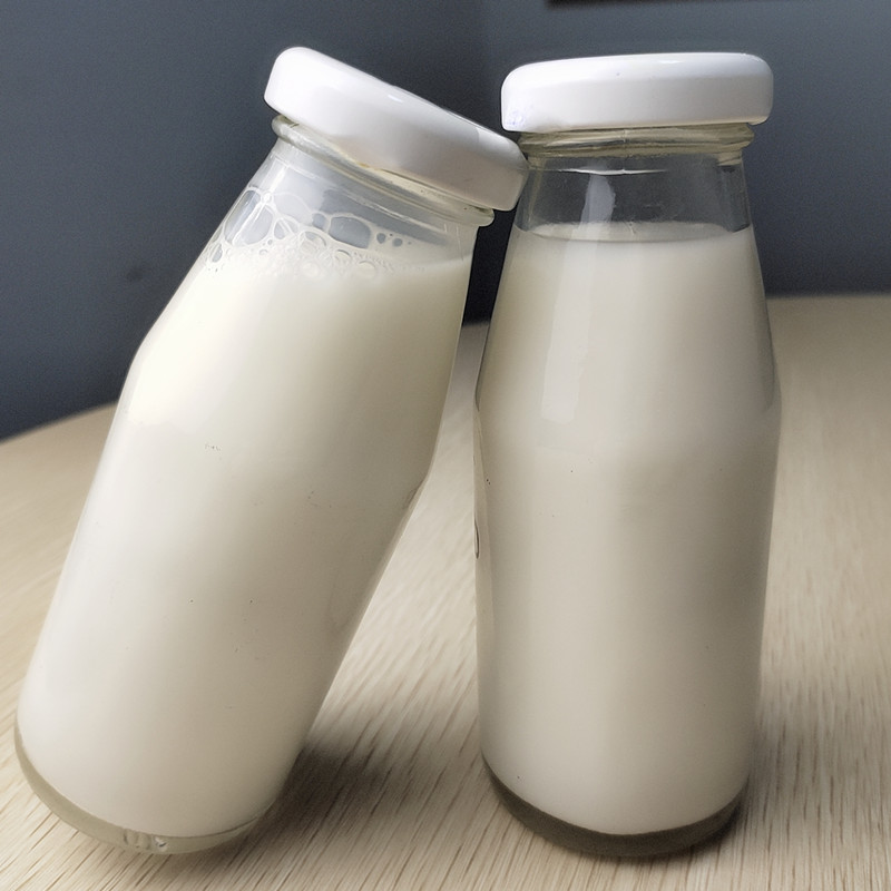 椰奶植物乳酸菌饮料